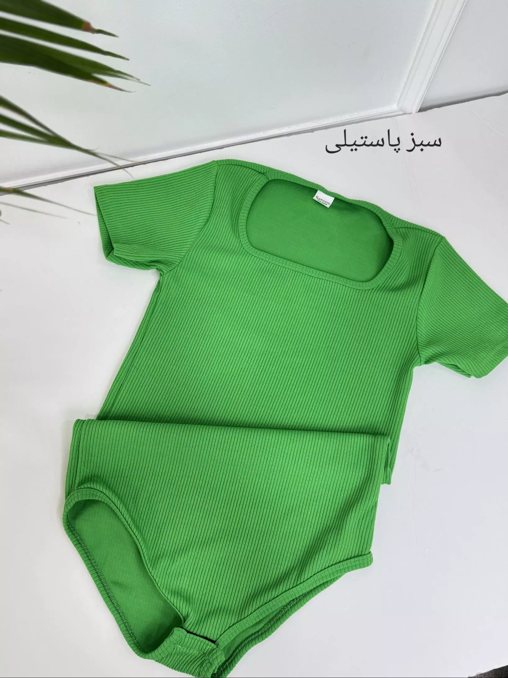 بادی آنیلا